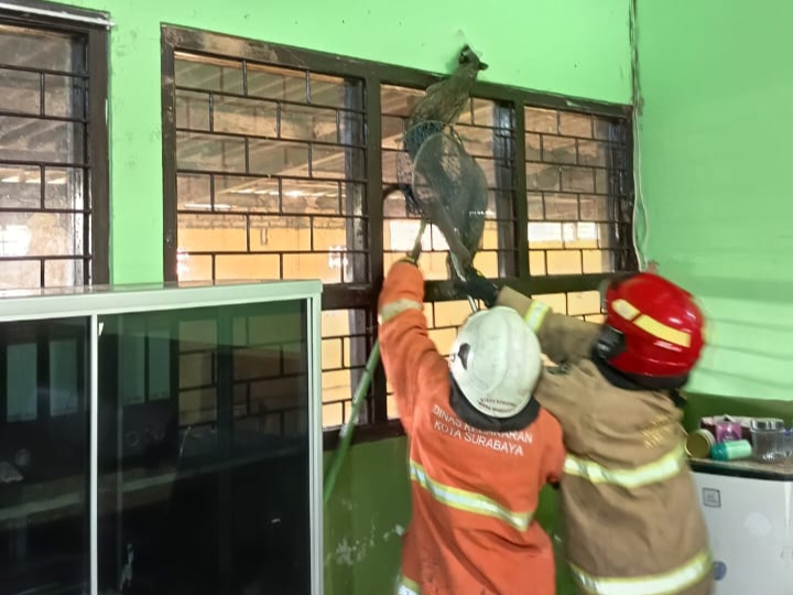 Foto BeritaJatim.com