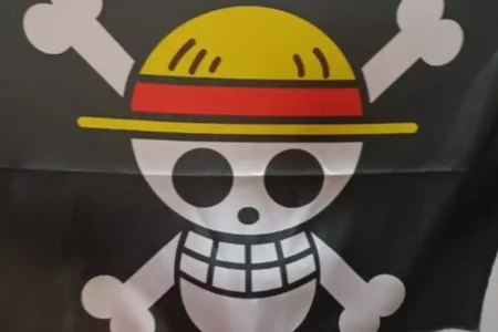 Efek Viral Jolly Roger, Penjual Pernak-pernik Kemerdekaan Kebanjiran Order Kaos One Piece Foto BeritaJatim.com
