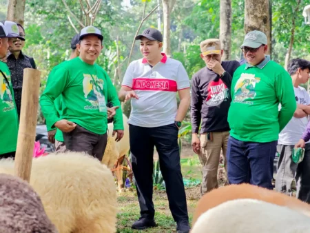 Festival Domba Kabupaten Pasuruan 2025 Dorong Minat Beternak Warga Foto BeritaJatim.com