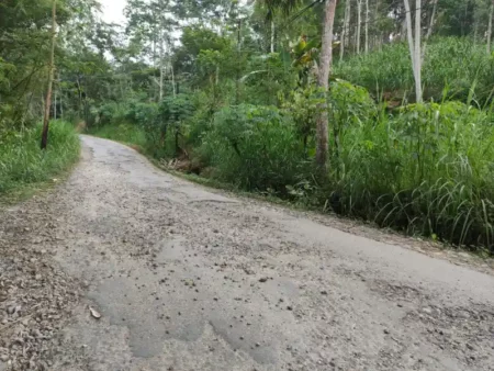 39 Persen Jalan Kabupaten Pacitan Rusak, Tahun Ini Tak Ada Kucuran Dana Provinsi Foto BeritaJatim.com