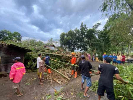 Cuaca Ekstrem Landa Bondowoso: 6 Rumah Rusak Akibat Hujan Deras dan Angin Kencang Foto BeritaJatim.com