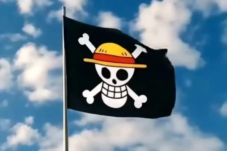 Gara-Gara Bendera One Piece, Kesbangpol Panggil Kades di Blitar Foto BeritaJatim.com