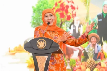 Tanggapi Bendera One Piece Berkibar, Ini Kata Gubernur Jatim Khofifah Foto BeritaJatim.com