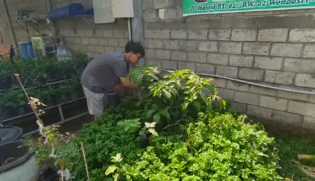 Mahasiswa MMD-DM PSDKU UB Kediri: Ciptakan Pestisida Alami dari Kulit Bawang untuk KWT Desa Wonoasri Foto BeritaJatim.com