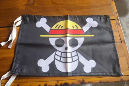 Bakesbangpol Magetan Belum Temukan Pengibaran Bendera One Piece Foto BeritaJatim.com
