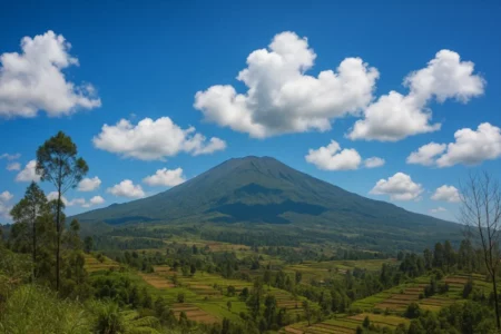 Prakiraan Cuaca Madiun dan Pacitan 15 Agustus 2025: Cerah Berawan Foto BeritaJatim.com