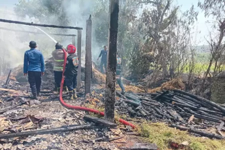 Kandang Ternak di Lamongan Ludes Terbakar, Diduga Akibat Pembakaran Sampah di Musim Kemarau Foto BeritaJatim.com