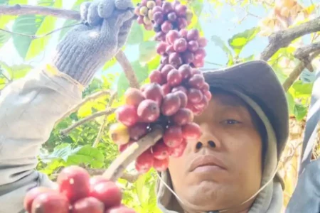 Foto BeritaJatim.com