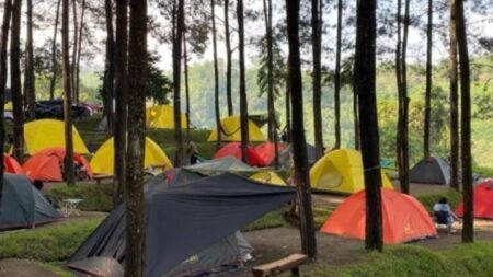 Alas Veenuz di Trawas Mojokerto, Wisata Alam Hits dengan Suasana Hutan Pinus dan View Gunung Welirang Foto BeritaJatim.com