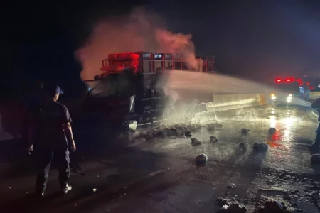 Truk Pengangkut Ayam Terbakar di Tol Ngawi, Sopir Luka Ringan Foto BeritaJatim.com