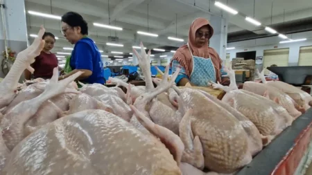 Harga Ayam Potong di Ponorogo Terus Meroket, Pedagang dan Pembeli Tertekan Foto BeritaJatim.com