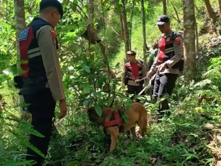 Polisi Kerahkan K-9 Polda Jatim, Pelaku Pembunuhan di Pacitan Diduga Keluar Desa Temon Foto BeritaJatim.com