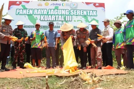 Polres Mojokerto Kota Gelar Panen Raya Jagung, Dukung Swasembada Pangan 2025 Foto BeritaJatim.com