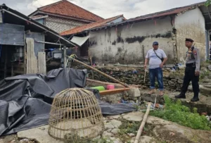 Gerebek Judi Sabung Ayam, 6 Orang Ditangkap Polisi di Pamekasan Foto BeritaJatim.com