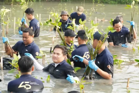 PT PAL Indonesia Tanam 2.000 Mangrove, Jaga Kelestarian Pesisir Surabaya Foto BeritaJatim.com
