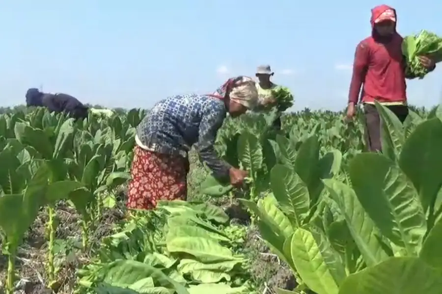 Foto BeritaJatim.com