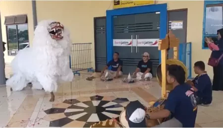 Janji Bupati Fawait Meleset Lagi, Warga Gelar Can-Macanan Kadduk di Bandara Jember Foto BeritaJatim.com