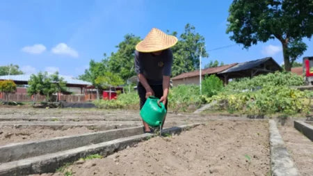 Bekal Kemandirian, Warga Binaan Lapas Kediri Tanam Terong di Lahan SAE Foto BeritaJatim.com