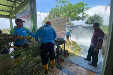 Selain Beternak, Warga Binaan Lapas Malang Dilatih Buat Pakan Silase Foto BeritaJatim.com