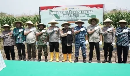 Panen Raya Jagung Serentak di Desa Keras Jombang Wujud Kolaborasi untuk Ketahanan Pangan Foto BeritaJatim.com