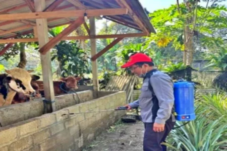 Foto BeritaJatim.com