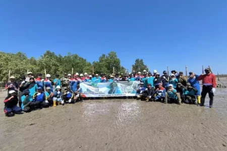Cegah Abrasi Pulau Bunyu, PEP Bunyu Field dan PHE-Nunukan Company Tanam 2.500 Mangrove Foto BeritaJatim.com