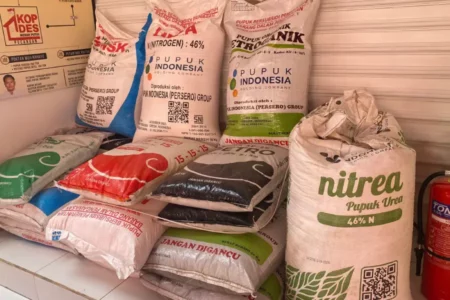 Antisipasi Kios Nakal, Pupuk Indonesia Minta Pengawasan Ketat Penyaluran Pupuk Subsidi Foto BeritaJatim.com