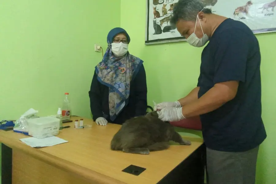 Foto BeritaJatim.com