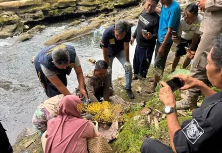 Jasad Bayi Laki-Laki Ditemukan di Banyuwangi, Kondisi Mengenaskan Foto BeritaJatim.com