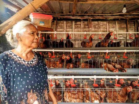 Angka Kemiskinan di Bojonegoro Turun Lagi, Program GAYATRI dan KOLEGA Jadi Penopang Utama Foto BeritaJatim.com