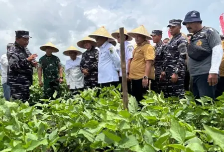 TNI AL dan Petani Banyuwangi Targetkan Penanaman Kedelai di Lahan Seluas 60 Hektare Foto BeritaJatim.com