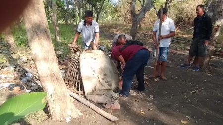 Foto BeritaJatim.com