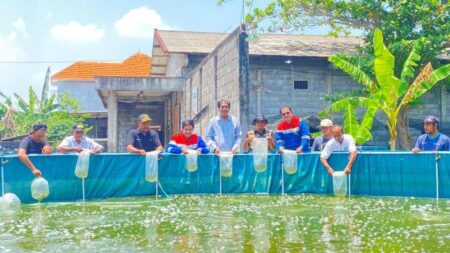 Dukung Ketahanan Pangan, Pertamina Patra Niaga Hadirkan Kolam Bioflok untuk Inovasi Mina Padi di Gresik Foto BeritaJatim.com