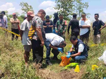 Aroma Busuk di Hutan Malo Ungkap Mayat Bayi Terbungkus Plastik, Polres Bojonegoro Buru Pelaku Foto BeritaJatim.com