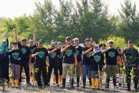 Pelindo Petikemas Tanam 50 Ribu Mangrove, Dukung Total Program ‘Mageri Segoro’ Gubernur Jateng Foto BeritaJatim.com