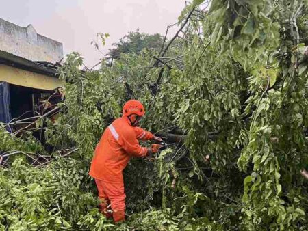Angin Kencang Terjang Mojokerto, Puluhan Rumah Rusak dan Sejumlah Pohon Tumbang Foto BeritaJatim.com