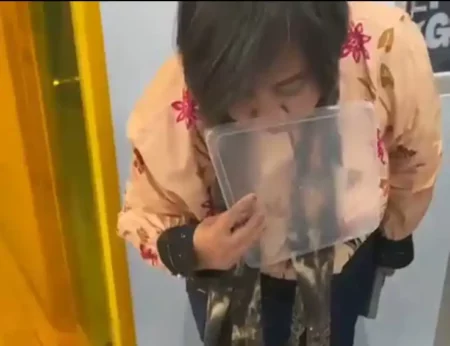 Komnas HAM Ungkap Dapur MBG Milik Mantan Kepala Dispendik Jember Tak Punya SLHS Foto BeritaJatim.com