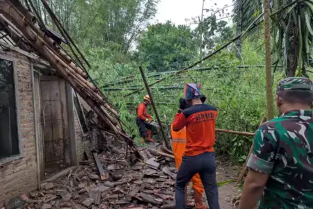 Angin Kencang Terjang Sejumlah Desa di Bondowoso, Puluhan Rumah Rusak dan Pohon Tumbang Foto BeritaJatim.com