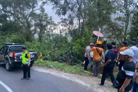 Rem Blong, Jeep Wisata Terperosok ke Jurang di Jalur Bromo Poncokusumo Foto BeritaJatim.com