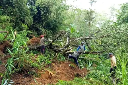 Jalur Kandangan Madiun Terputus Longsor, Warga Kare Gotong Royong Buka Akses Jalan Foto BeritaJatim.com