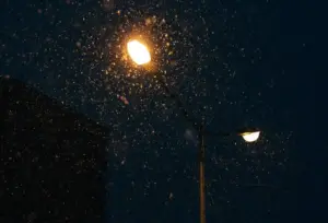 Prakiraan Cuaca Hari ini Kota Malang Hujan Ringan, Malam Hari Diselimuti Kabut Foto BeritaJatim.com