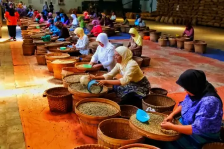 Dampak Kisruh di Kaligedang Bondowoso: Buruh Kopi Terdampak, Wisata Lesu, Investasi Melemah Foto BeritaJatim.com