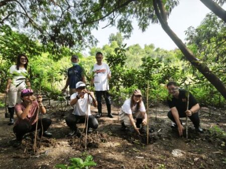IMA Tanam 1.000 Mangrove Bukti Kepedulian Lingkungan di Surabaya Foto BeritaJatim.com