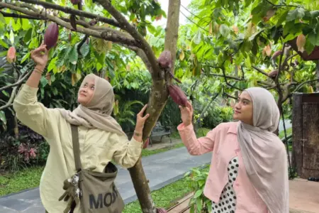 Jangan Buang Tiket KA, Ada Diskon 25% Masuk Kampung Coklat Blitar Foto BeritaJatim.com