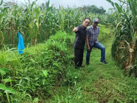 Tahun 2026 Dibuka dengan Tumpukan Problem Pertanian di Jember Foto BeritaJatim.com