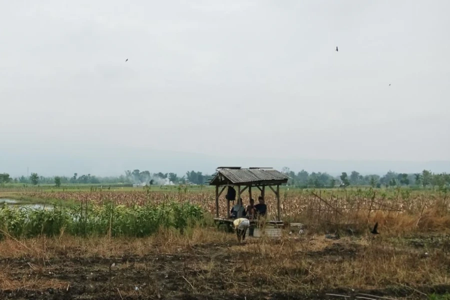 Foto BeritaJatim.com