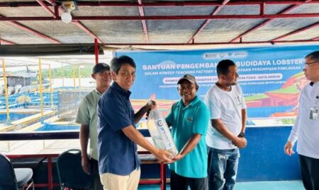 Pelindo Terminal Petikemas Dorong Kemandirian Ekonomi Pesisir Lewat Budidaya Lobster di Ambon Foto BeritaJatim.com