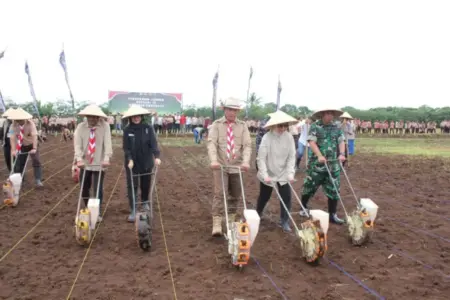 Wujudkan Swasembada Pangan Banyuwangi Lewat Panen Padi dan Tanam Jagung Kuartal IV Foto BeritaJatim.com