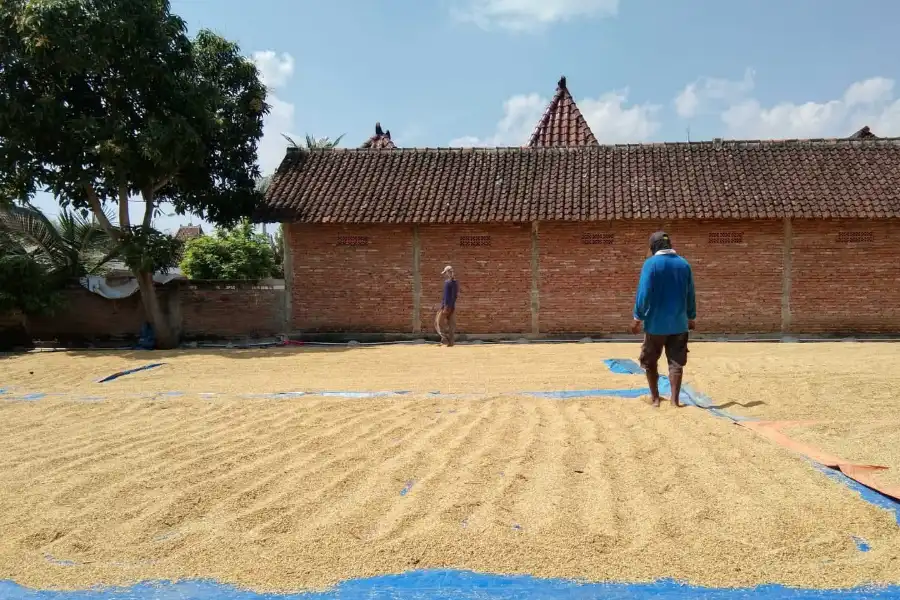 Foto BeritaJatim.com