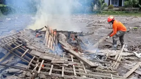 Bertambah, 174 Ternak Mati Terdampak Erupsi Semeru Dimusnahkan dengan Dibakar Foto BeritaJatim.com